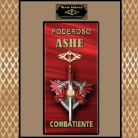 ASHE COMBATIENTE